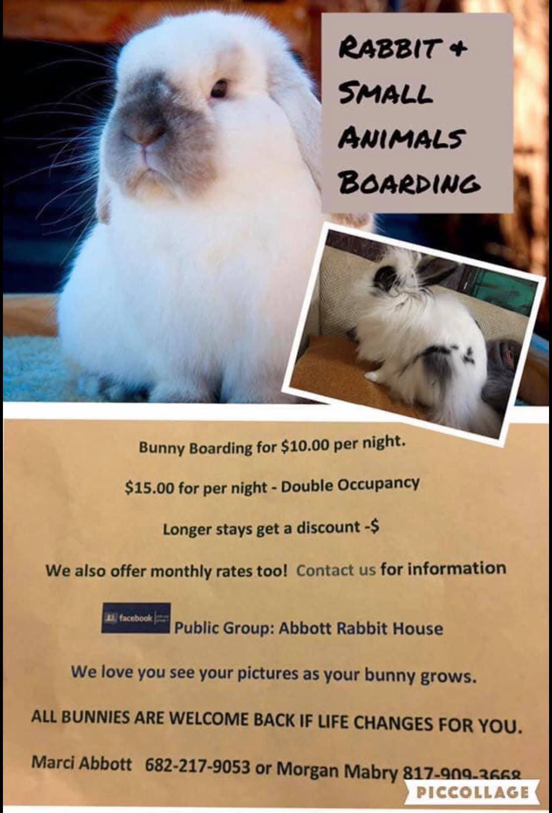 Abbott Rabbit House