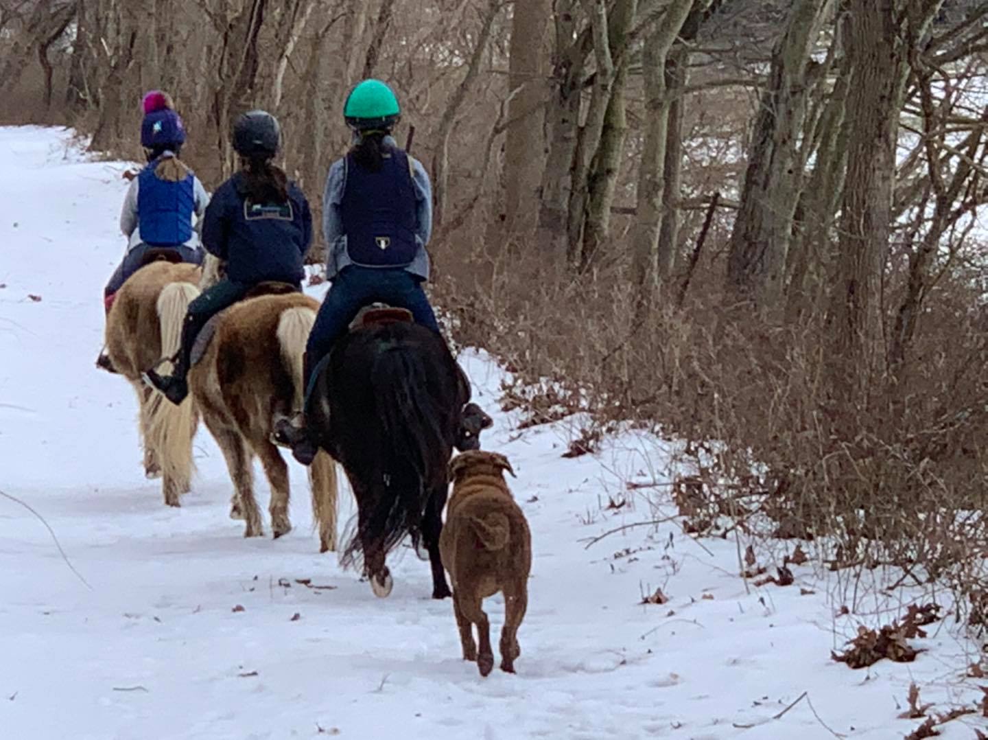U.S. Pony Racing