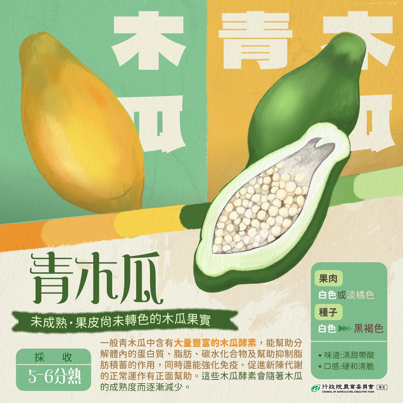 行政院農業委員會 什麼 青木瓜是木瓜的一種品種嗎 其實 Facebook
