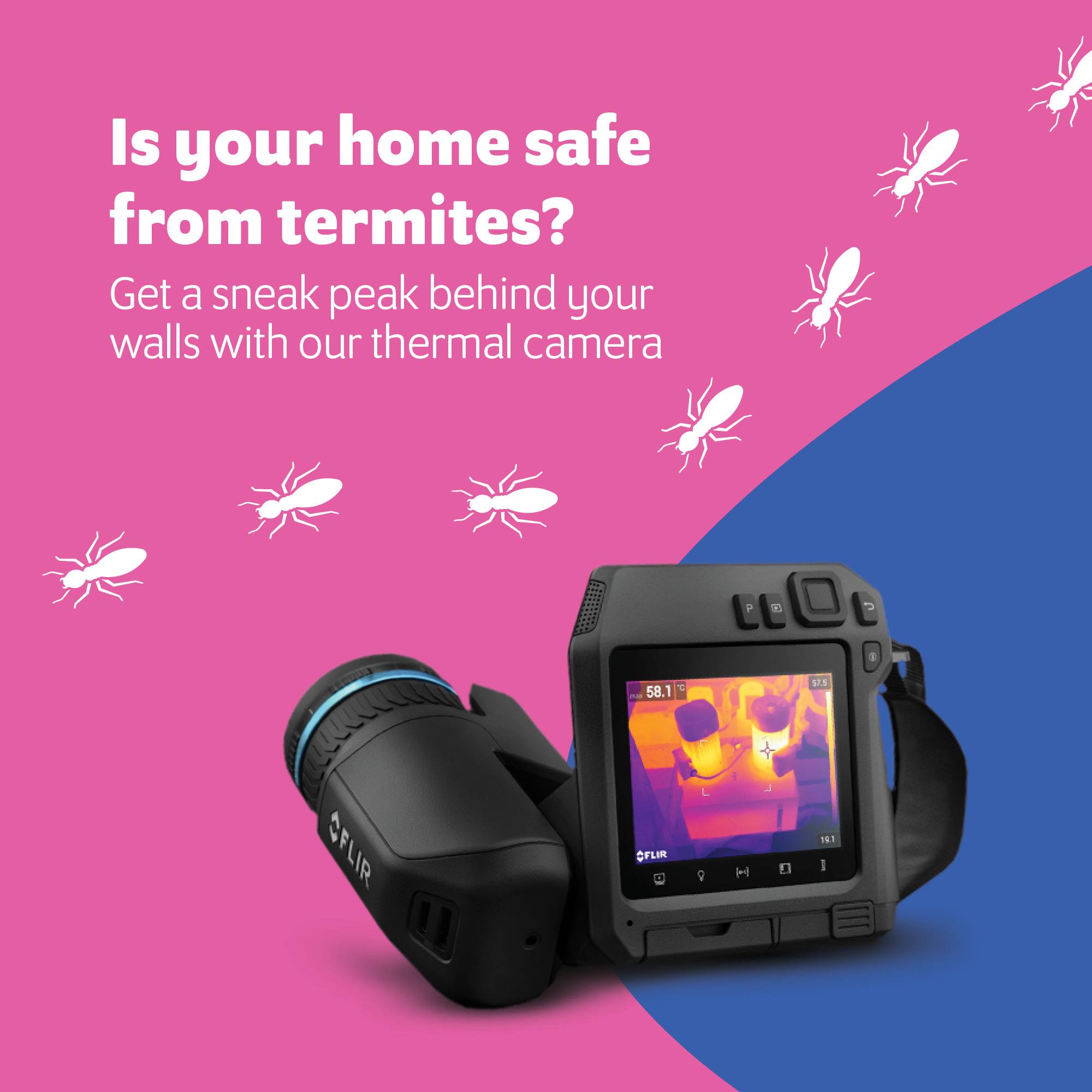 Pink Termite & Pest Experts - Termites could be living behind your ...