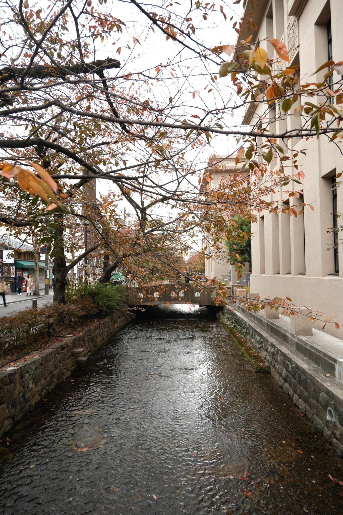 Fujifilm XM5 kit lens photos from Japan trip
