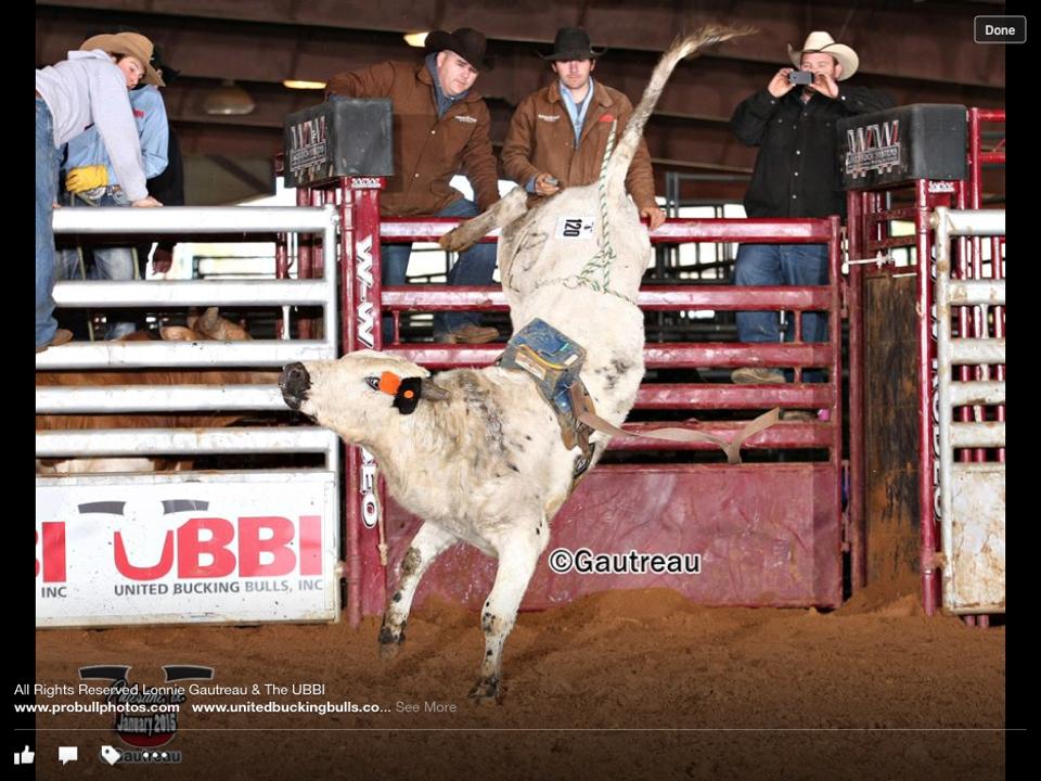 Wolfe Rodeo & Cattle | Kirbyville TX