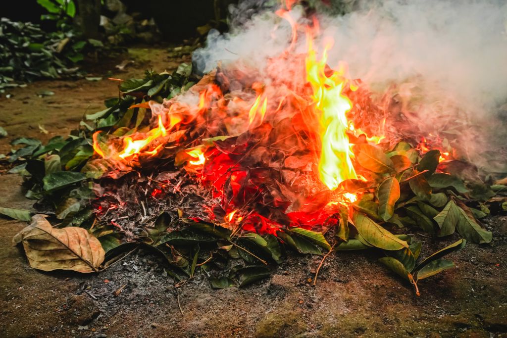 Mount - END OF FIRE DANGER SEASON ‼The Fire Danger Season for the Mount ...