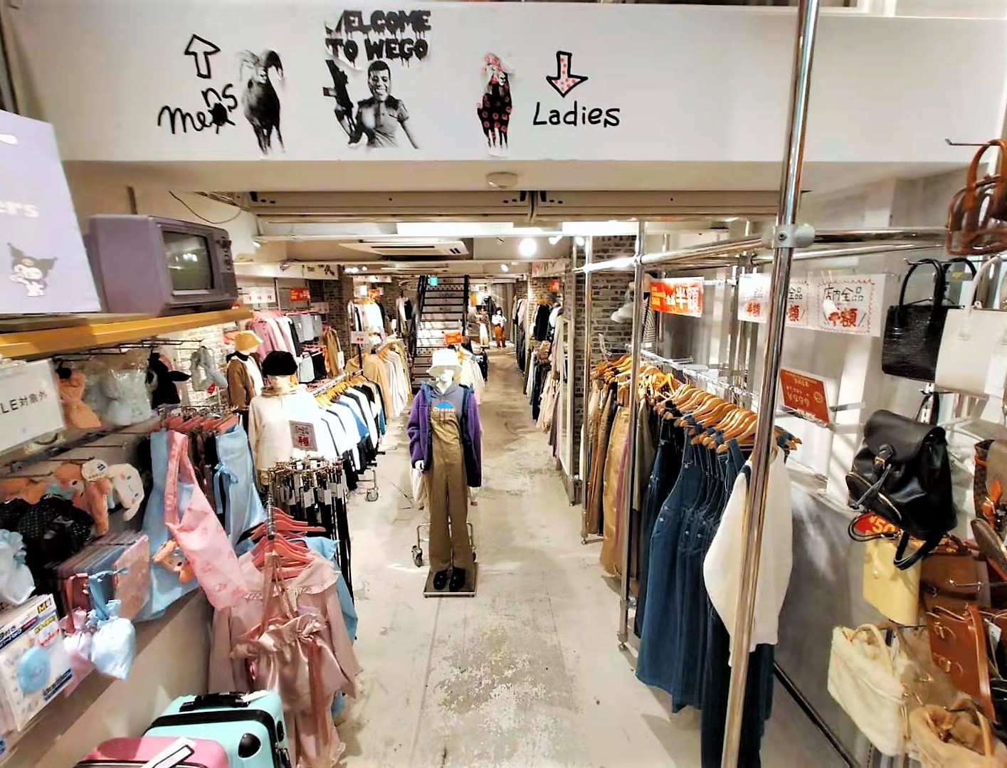 活動歴および当時の関連ビジュアル記録