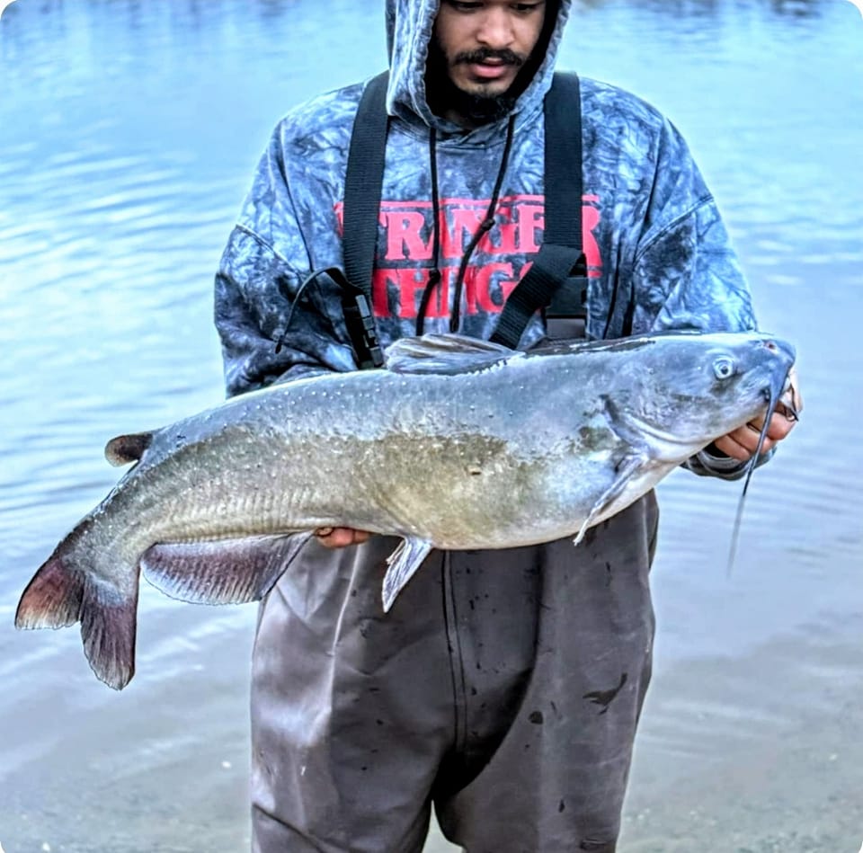 Massachusetts Catfishing | Facebook