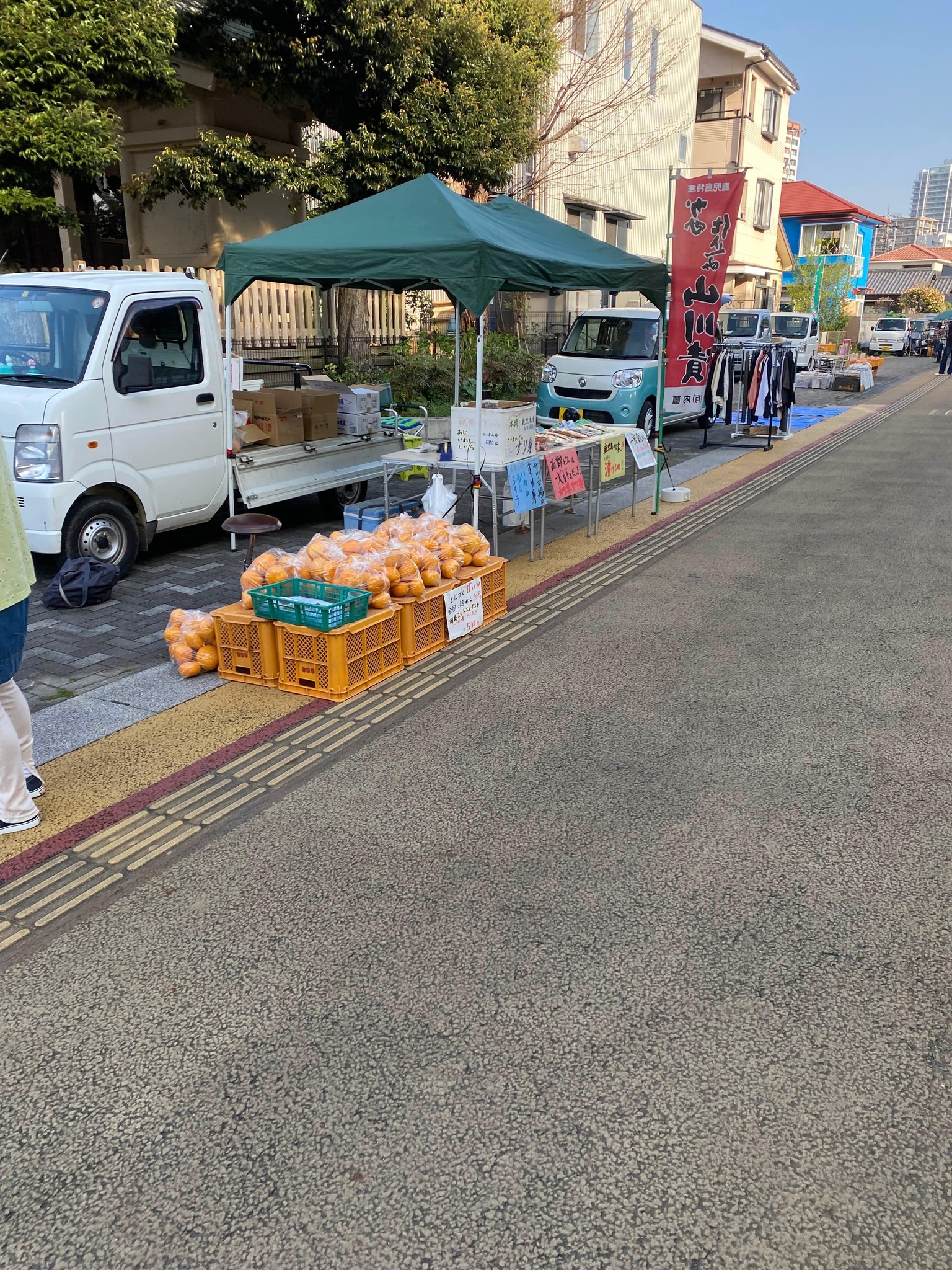 清水フリトラ市
