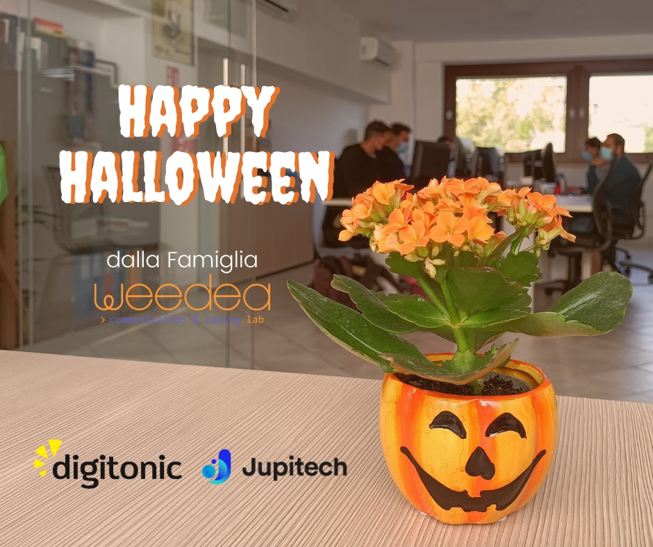 Digitonic | Perugia