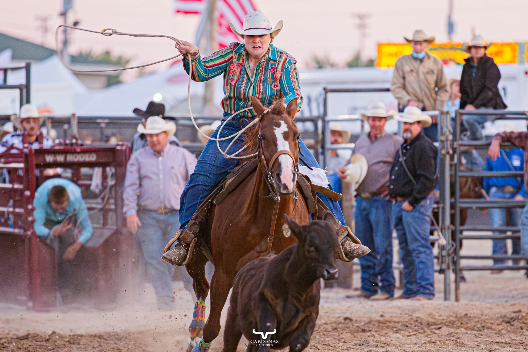 Chomping on the bit to get the... - Ringler's Stampede Rodeo | Facebook