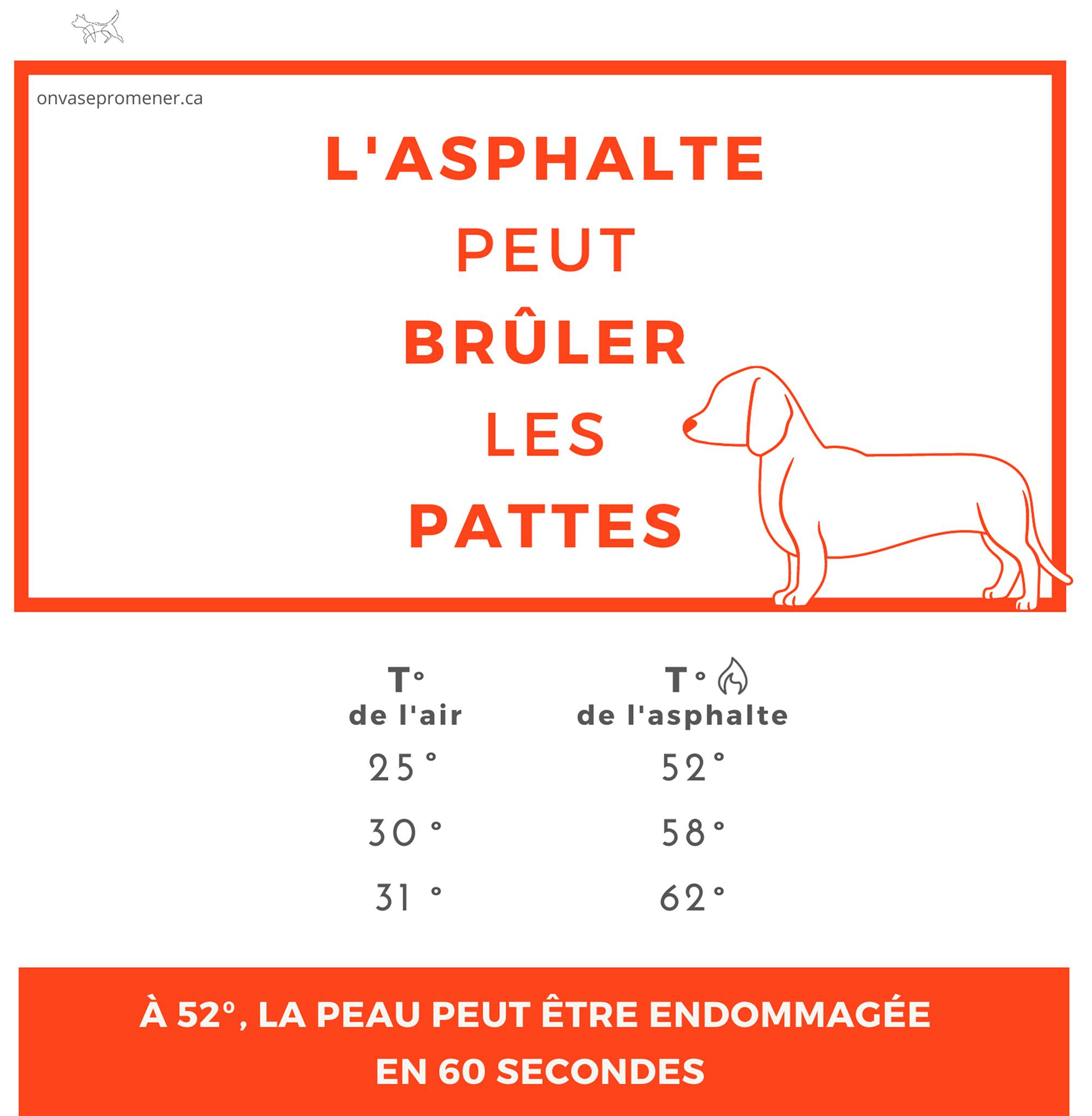 Annonce Pour Promener Des Chiens