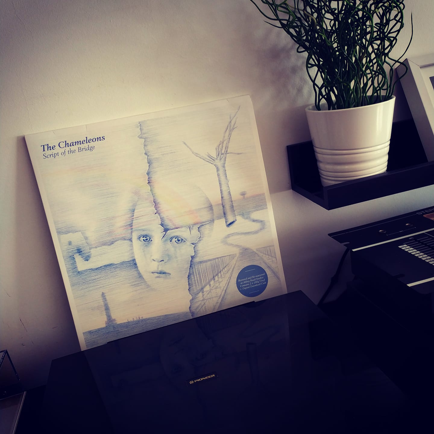 Good Looking Records GLR 14 'The Chameleon Links' vinyl price