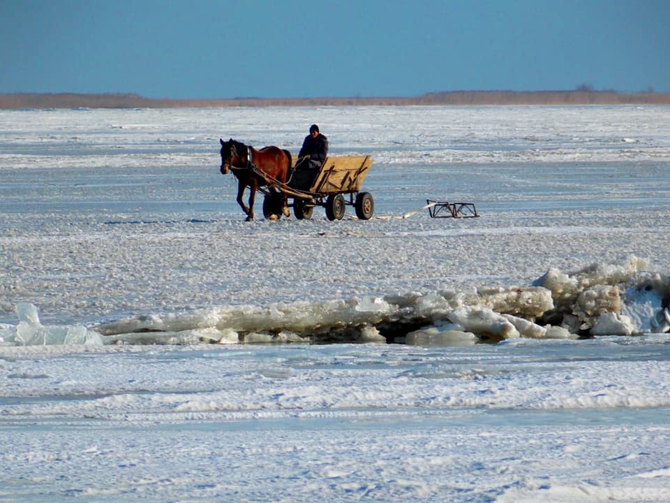 Iarna pe uliță - Eco Delta Dunarii
