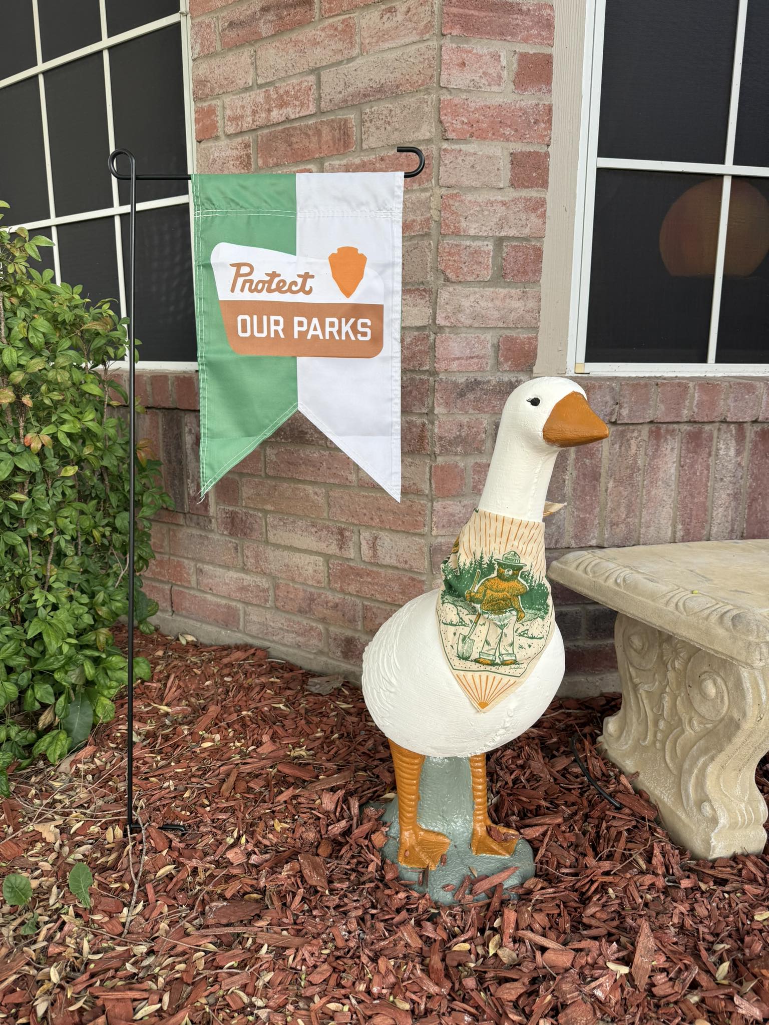 The Porch Goose Club of America | don’t have a name yet for this baby ...