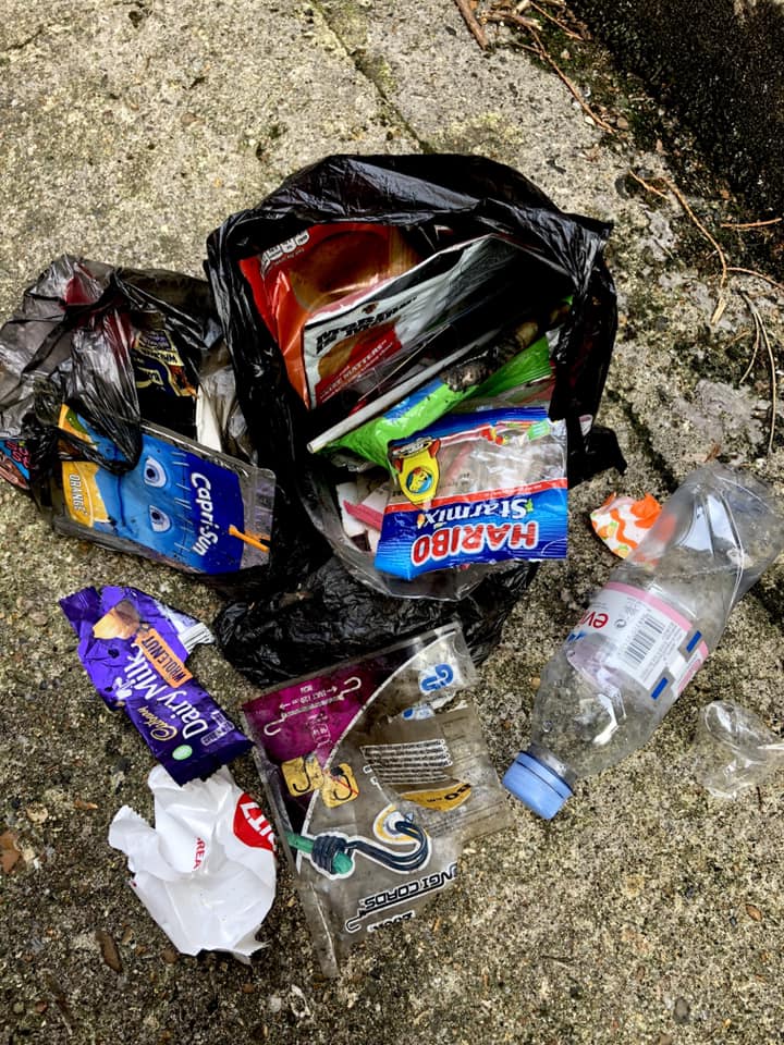 Plastic Parks - All this litter collected in less than a...