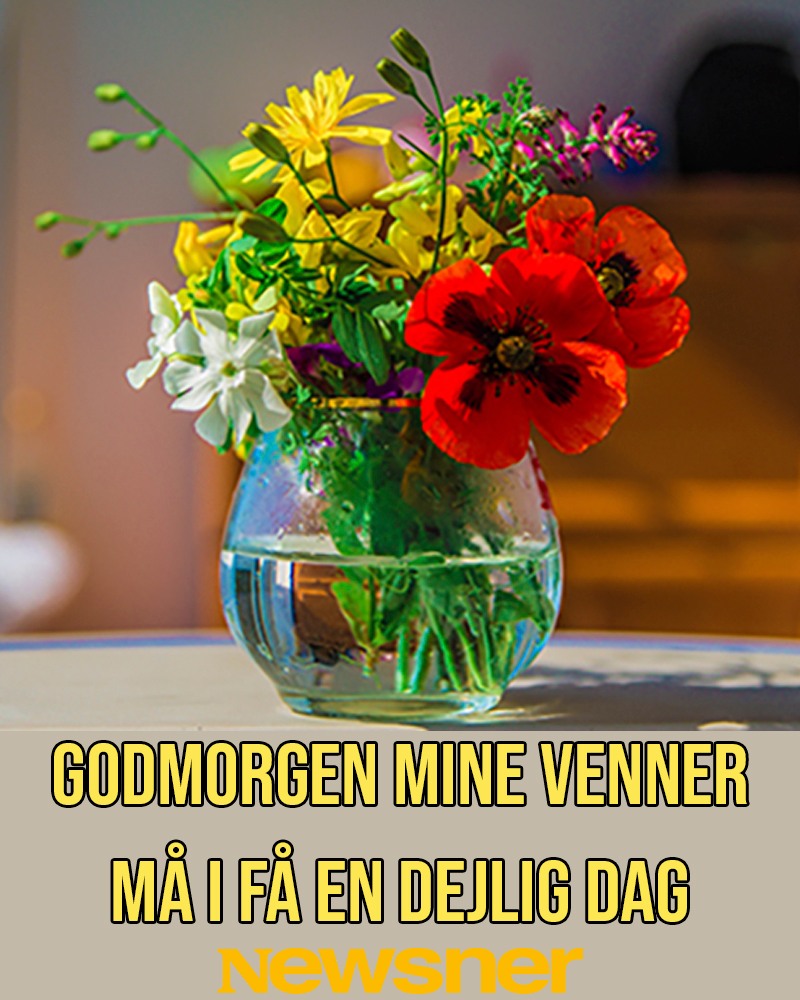 newsner-danmark-jeg-nsker-alle-mine-venner-en-rigtig-facebook