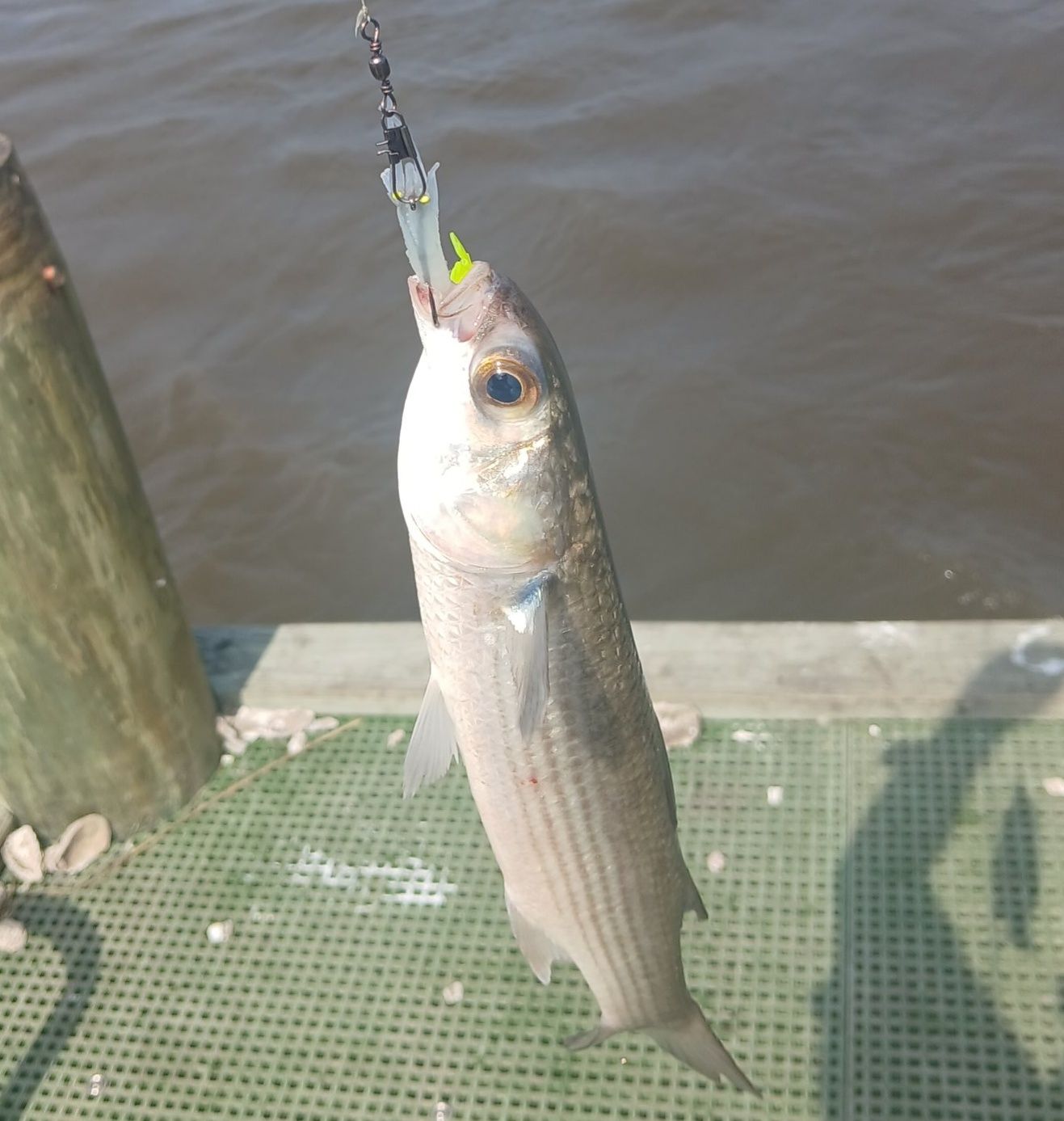 cane pole fishing for mullet Blind 4 Rigging Station (Ships Free)  HiFishGear Cane Poling Mullet