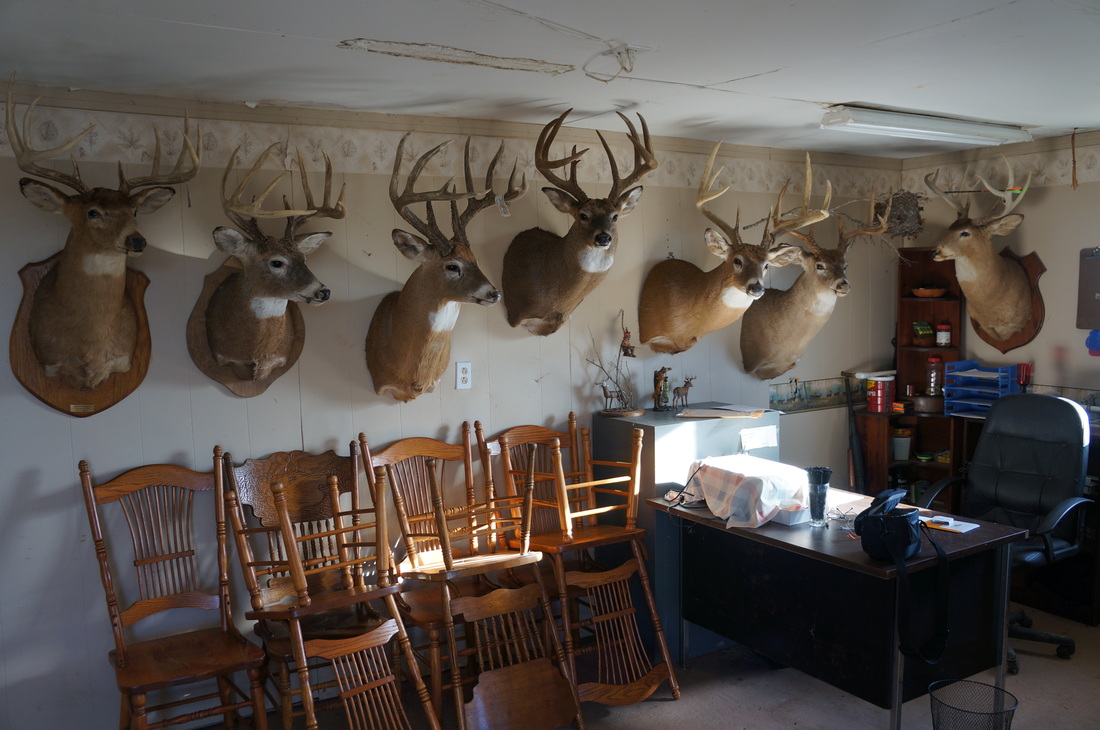 Illinois Rut and Strut Outfitters | Mount Sterling IL