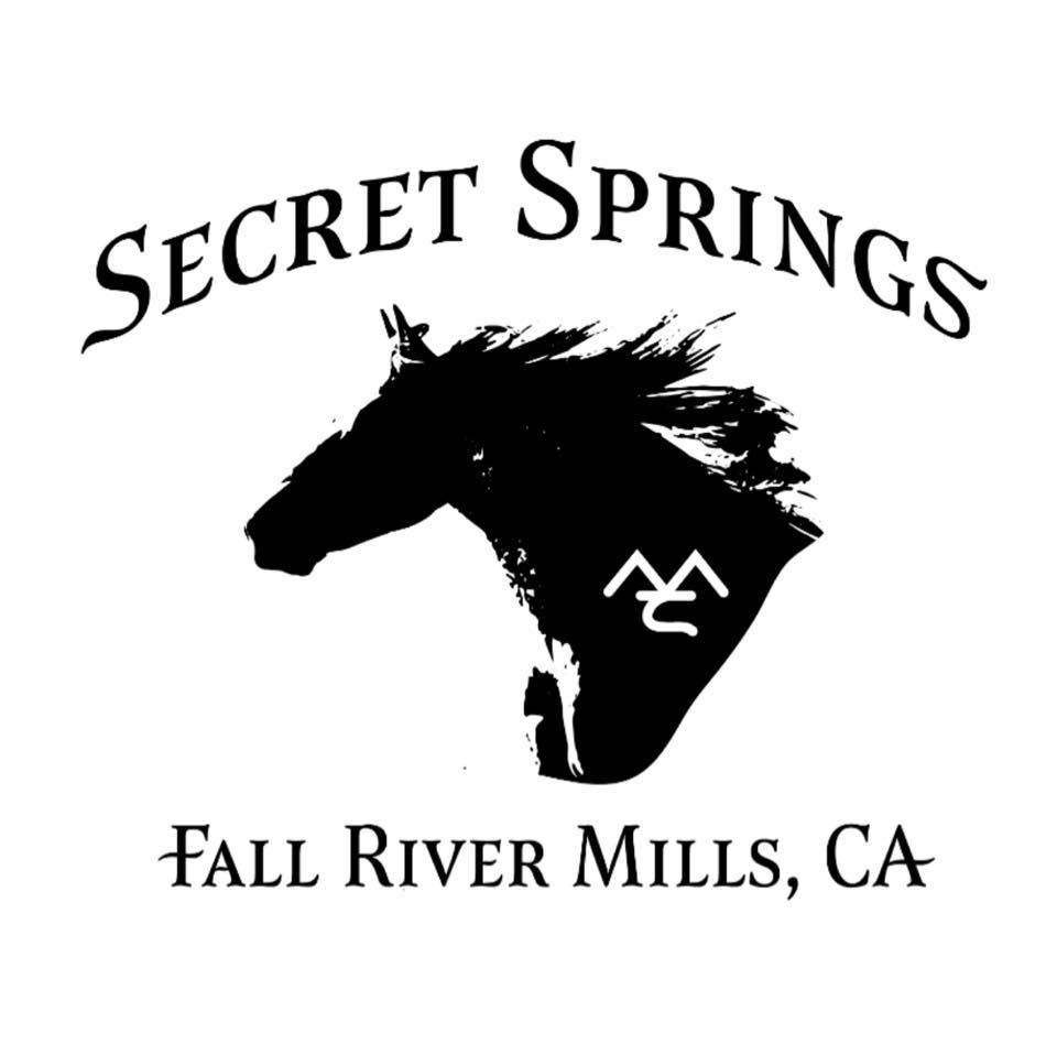Secret Springs - Bolognese on Reels