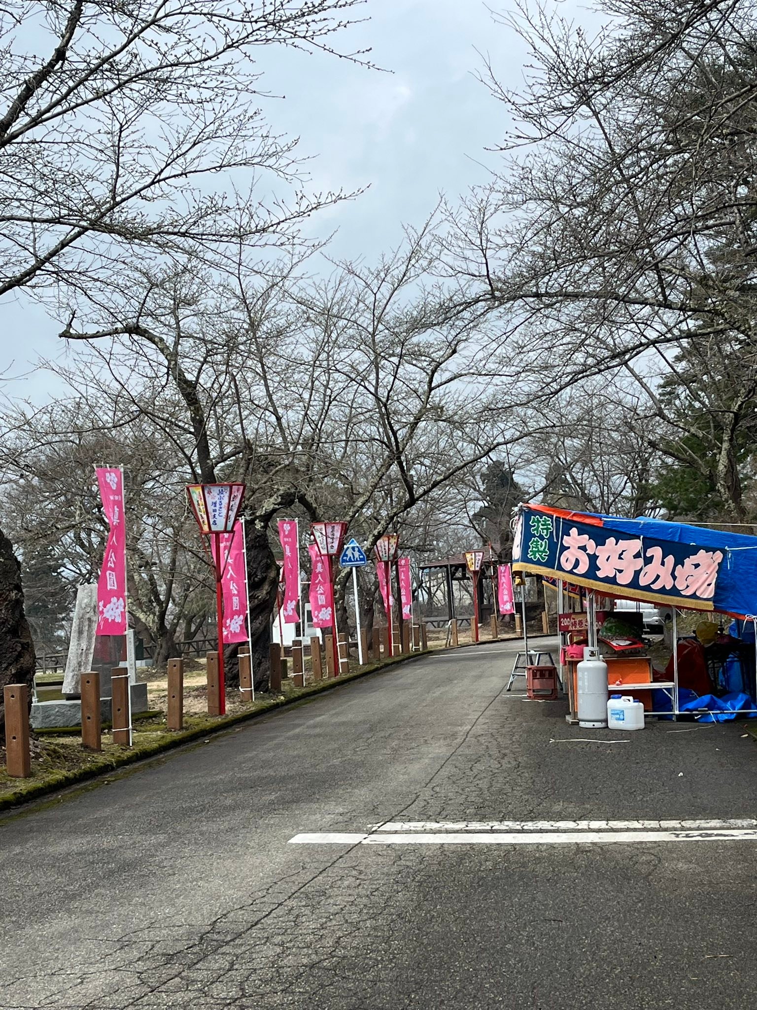 明日から真人公園も観桜会 でもまだまだ蕾は硬い様です。 公園の上 