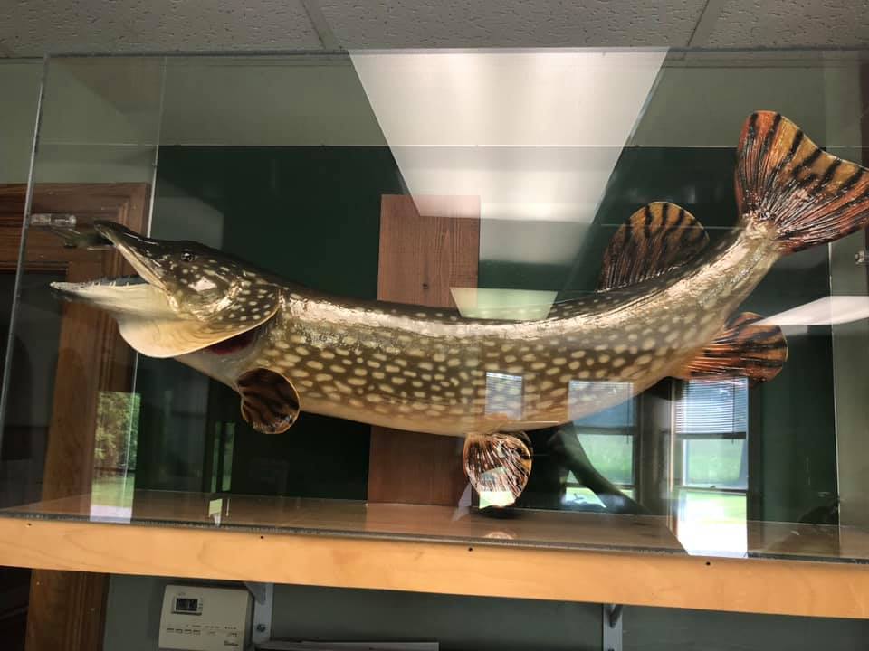 Here are the photos for... - Connecticut Fish and Wildlife | Facebook