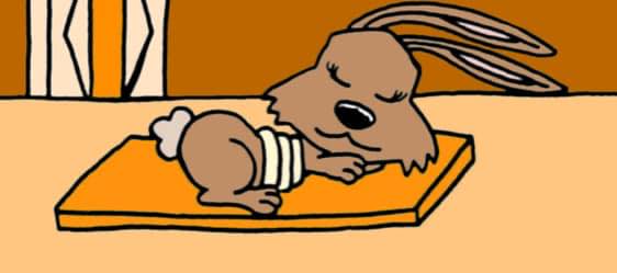Amanda the Rabbit