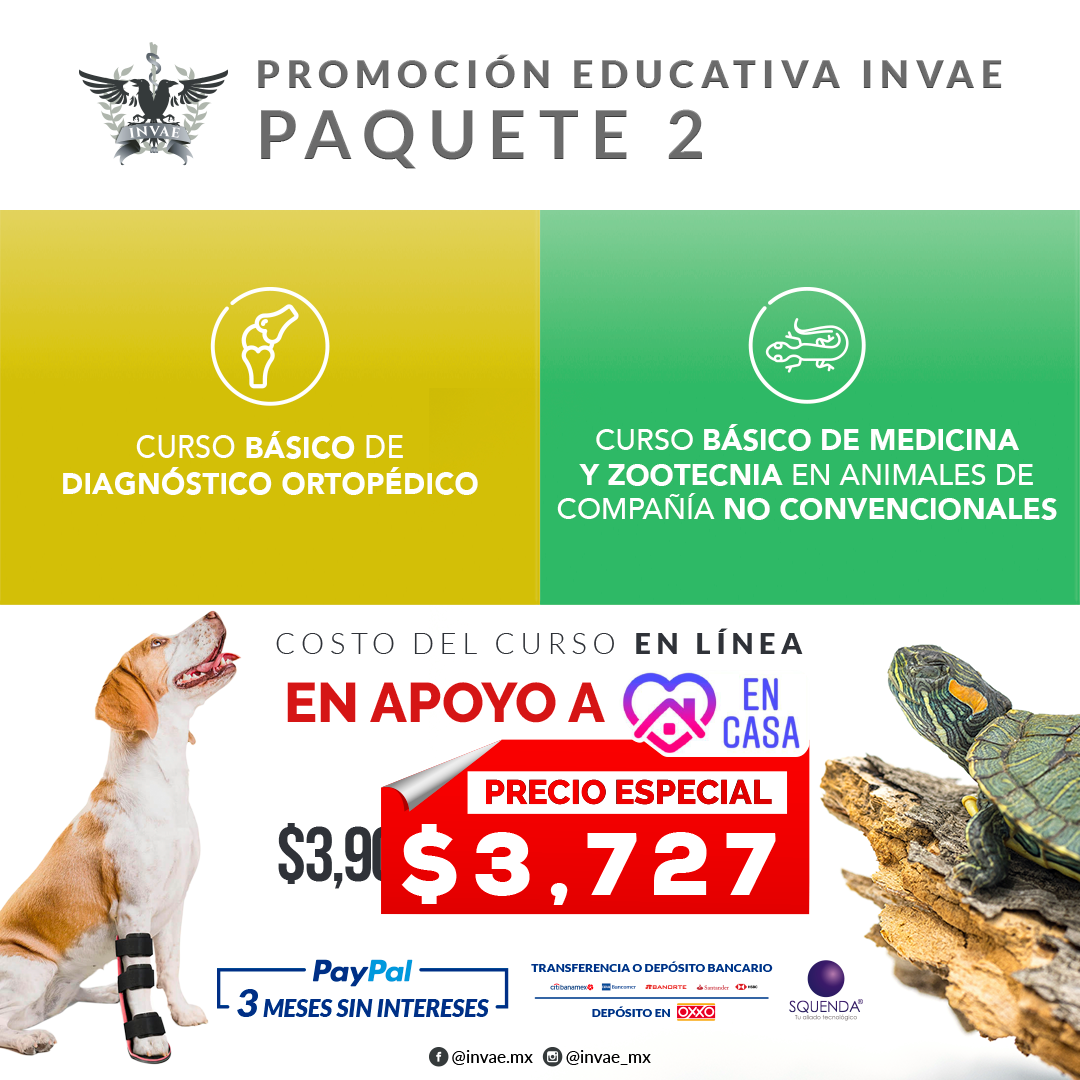 INVAE - ⚠️⚠️PRECIO COMBO $3727⚠️⚠️ Tu capacitación es... | Facebook