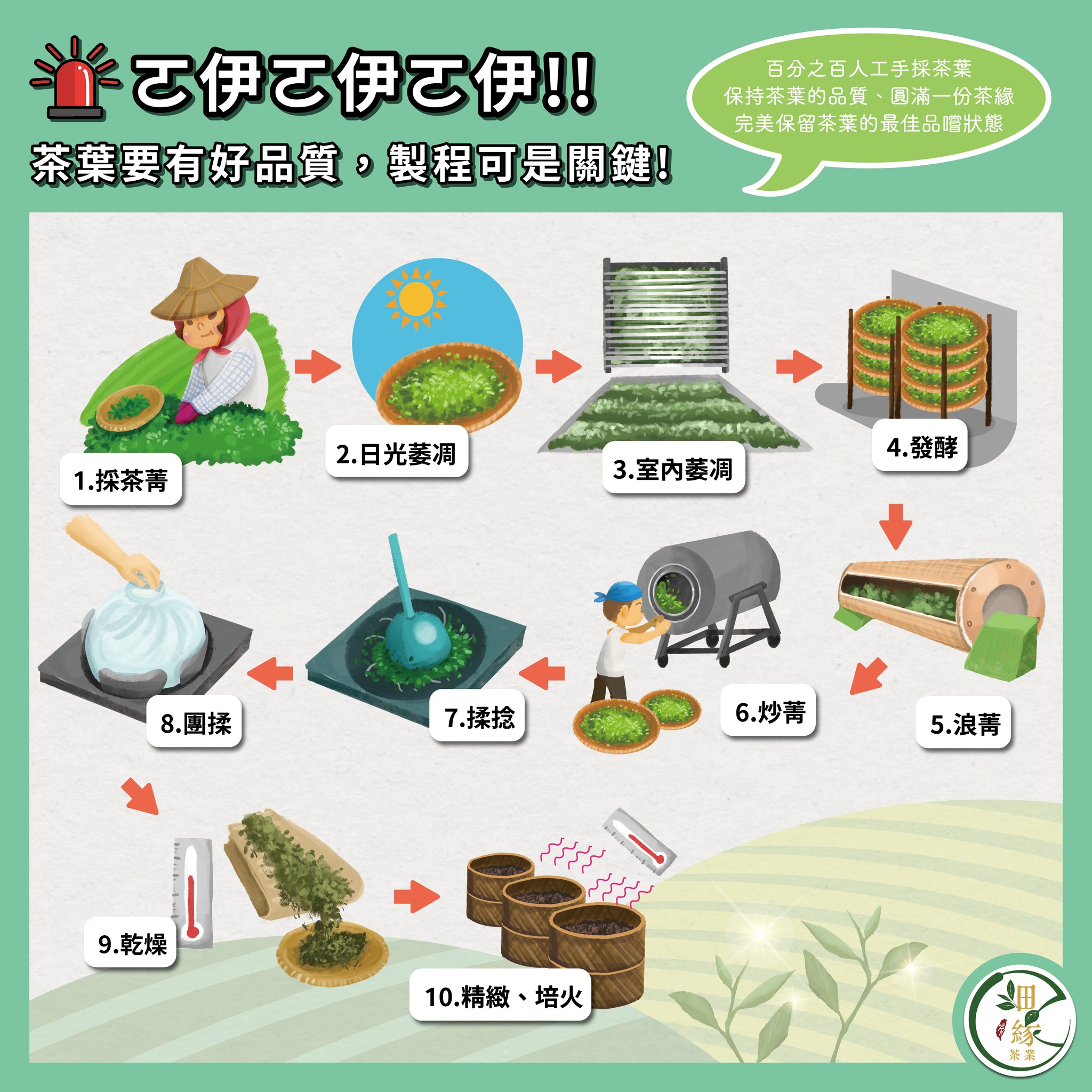 沺緣茶業 - 你知道茶葉的製作流程嗎？🤔 沺緣為您把關製茶好品質 沺編帶你來一探究竟製茶的過程👀 製茶十步驟： ①... | Facebook