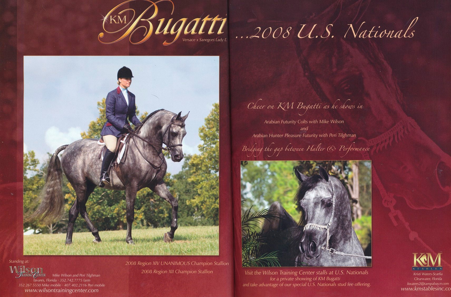 Congratulations to KM Bugatti, AHT Performance Sire of the Year