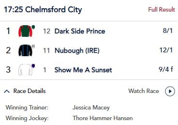 💥WINNER WINNER💥 Dark Side Prince... - Jessica Macey Racing
