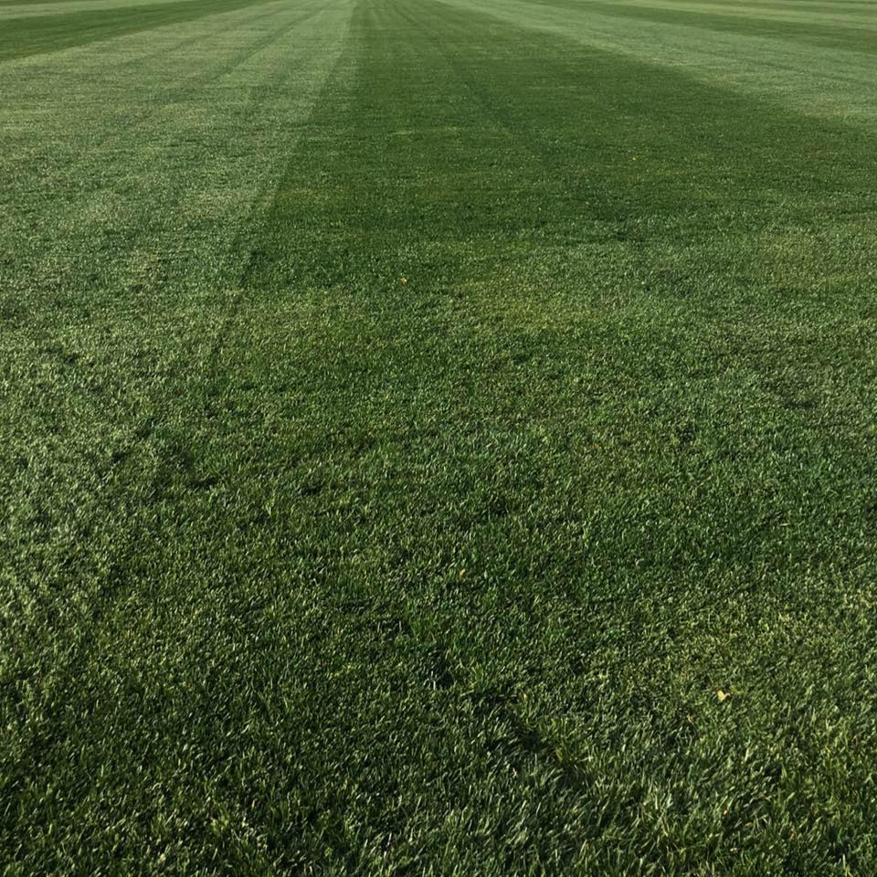 Sod harvesting viewed in slow motion | Wright Turf Farms