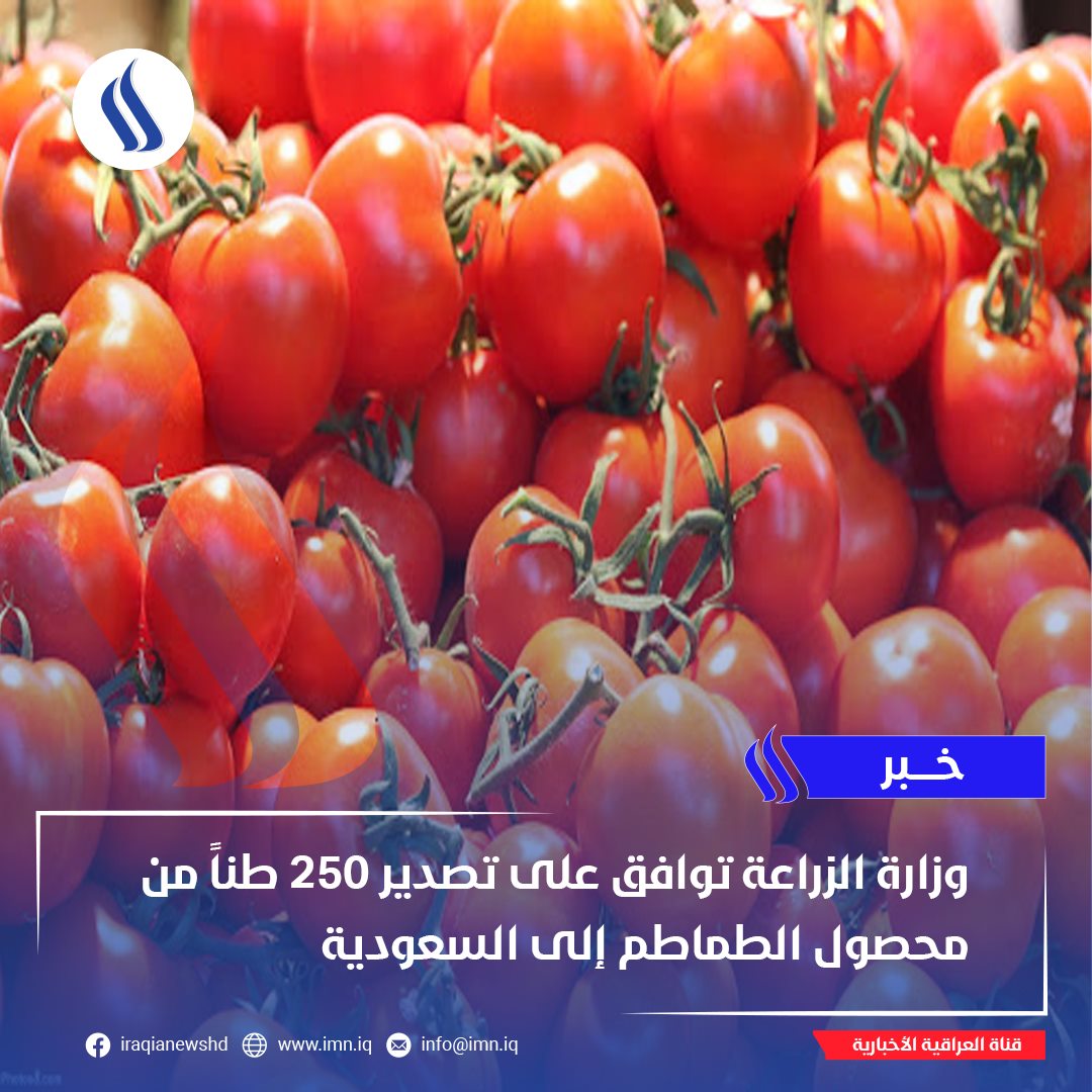 الإقبال على منتجات الطماطم في المملكة العربية السعودية يكشف عن فرص نمو هائلة