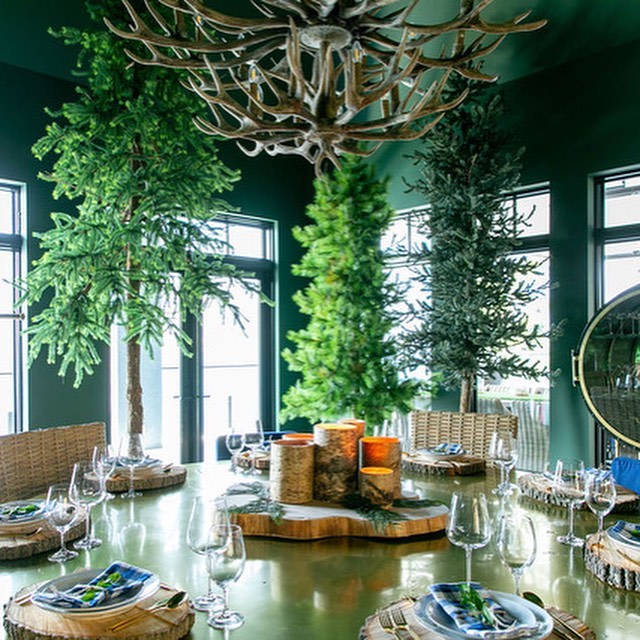 Absolute Interior Design