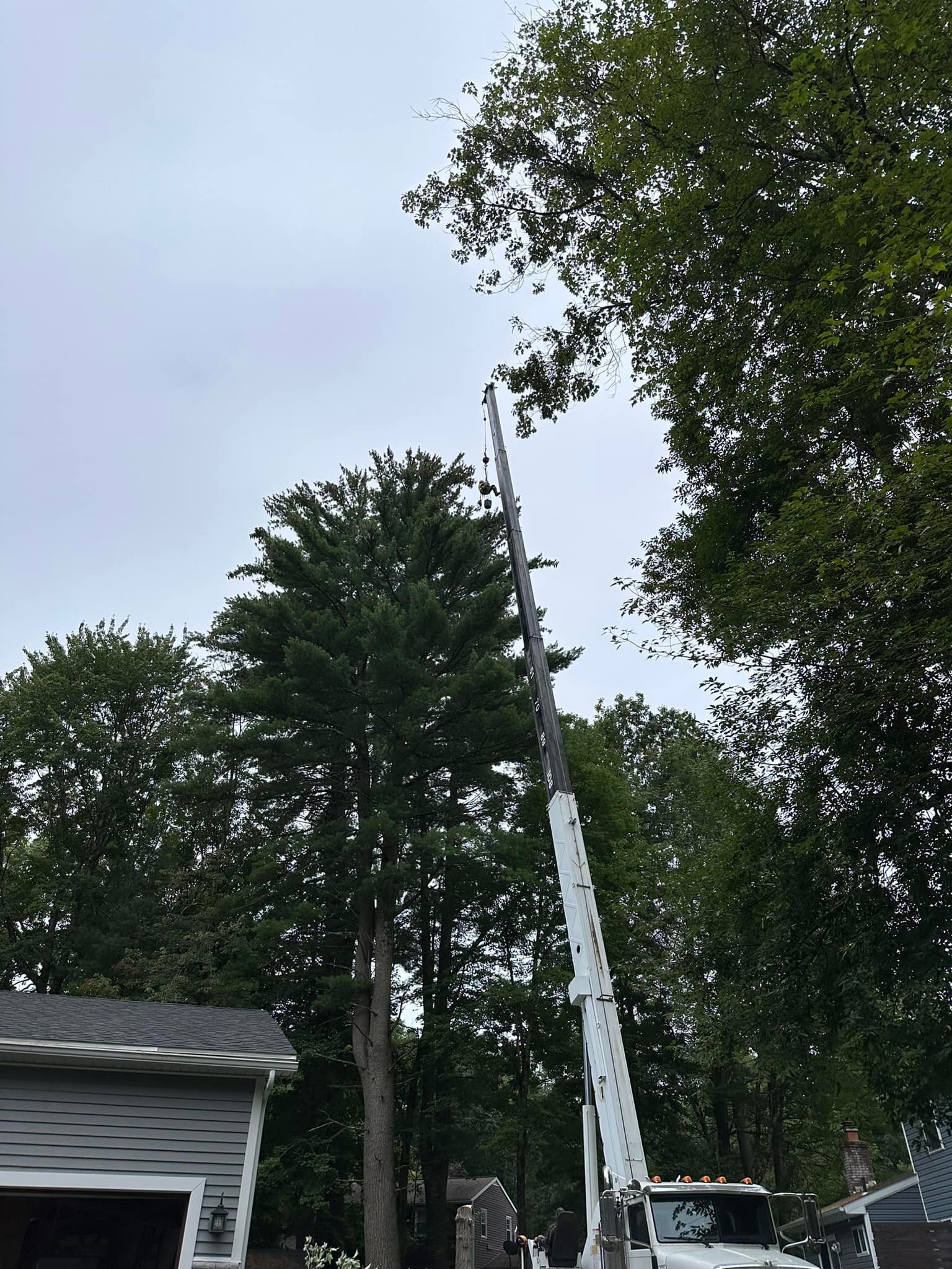 Ballston Tree & Property Services | Ballston Spa NY