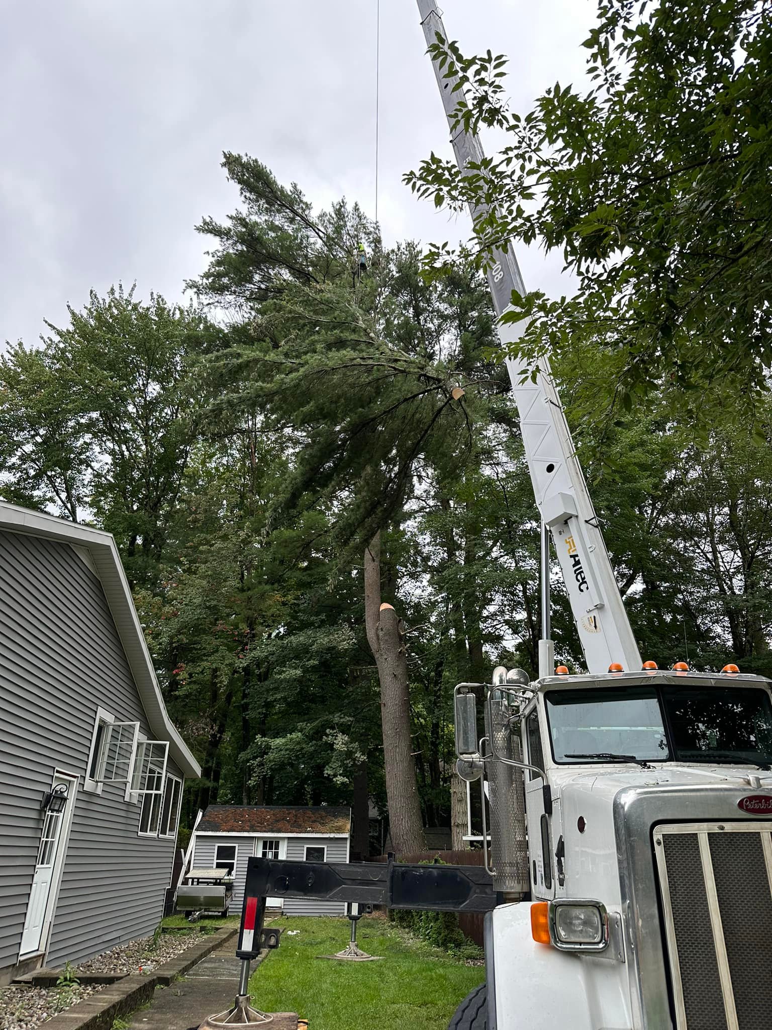 Ballston Tree & Property Services | Ballston Spa NY