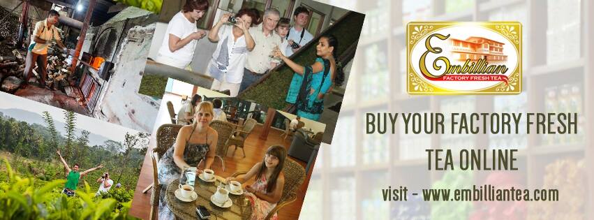 Embillmeegama Tea Factory & Tea Promotion Centre. | Kandy