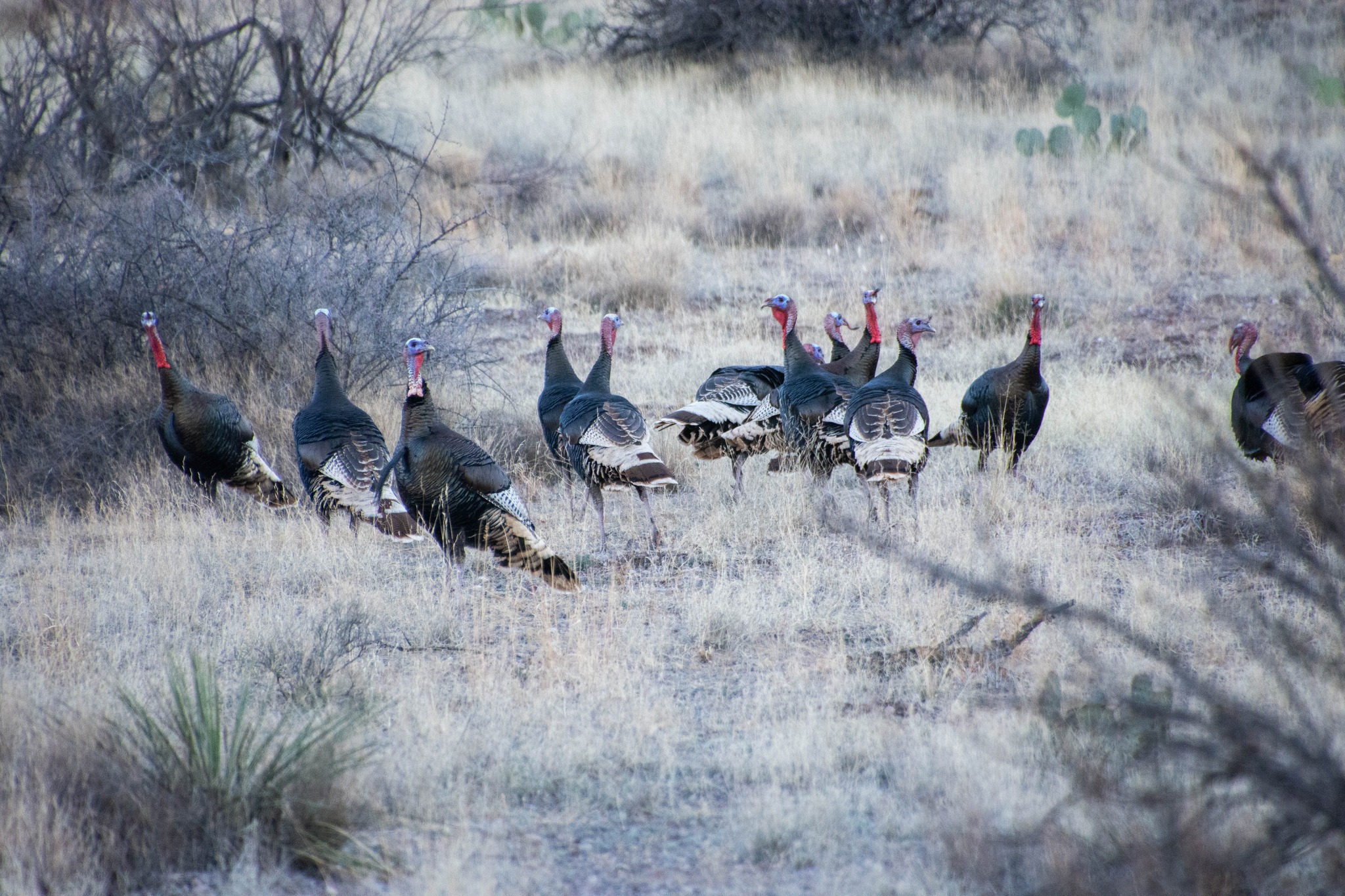 Who found success... - New Mexico Department of Wildlife | Facebook