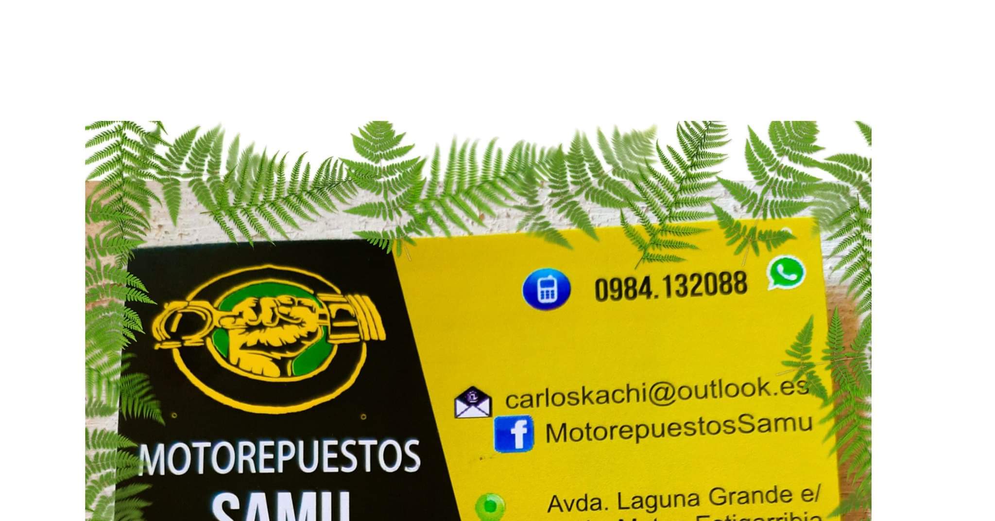 Motorepuestos Samu | San Lorenzo