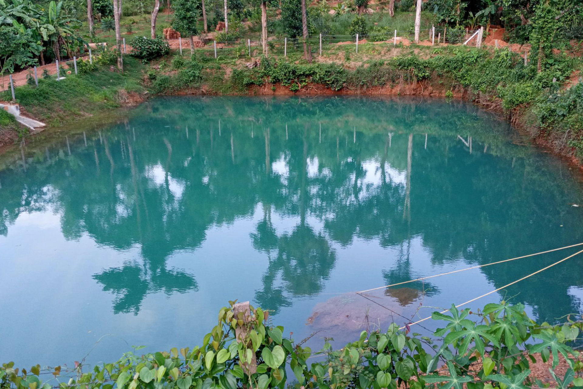 Pushkara Farms | Puttur