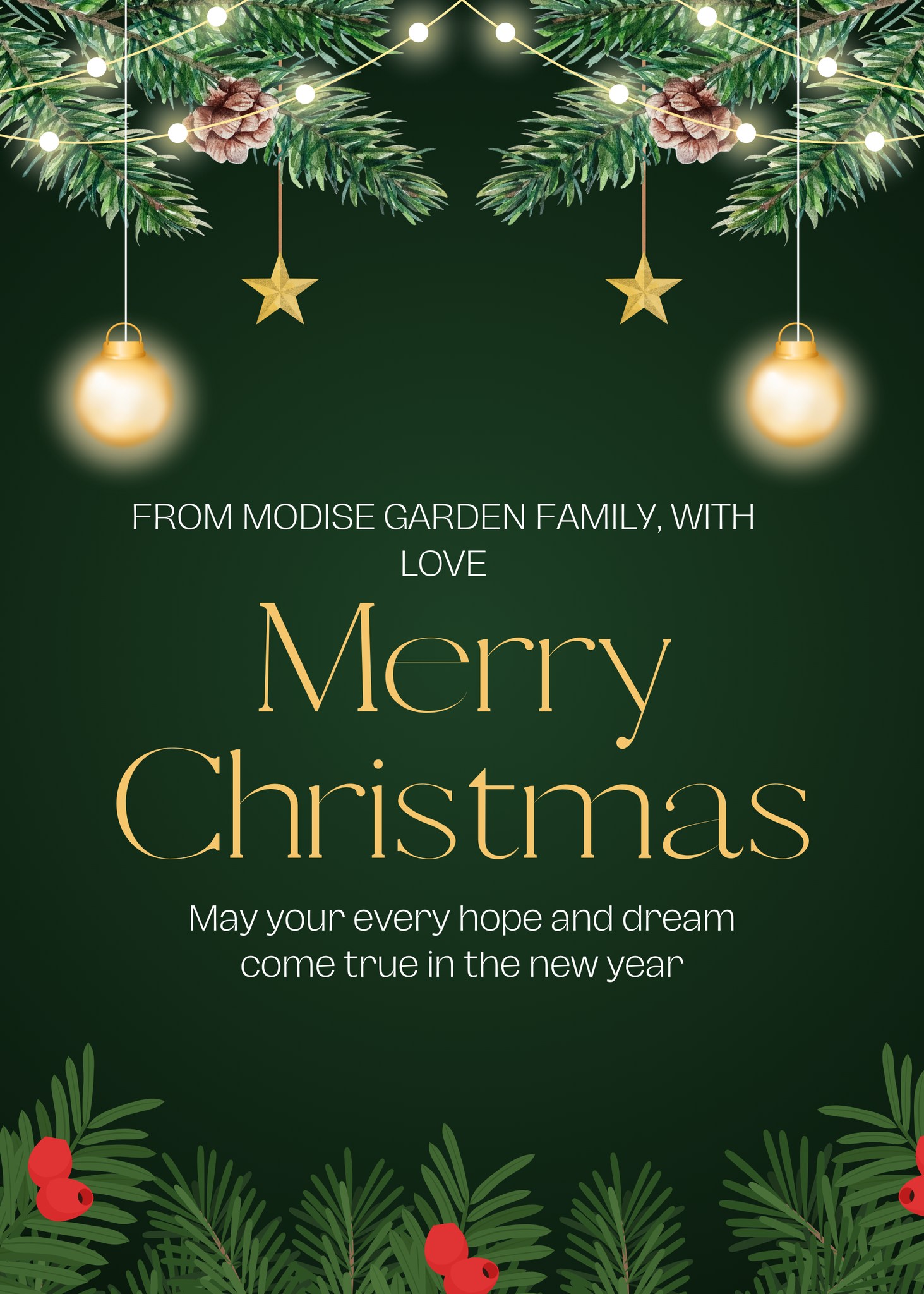 Modise Cleaning Solutions | Johannesburg