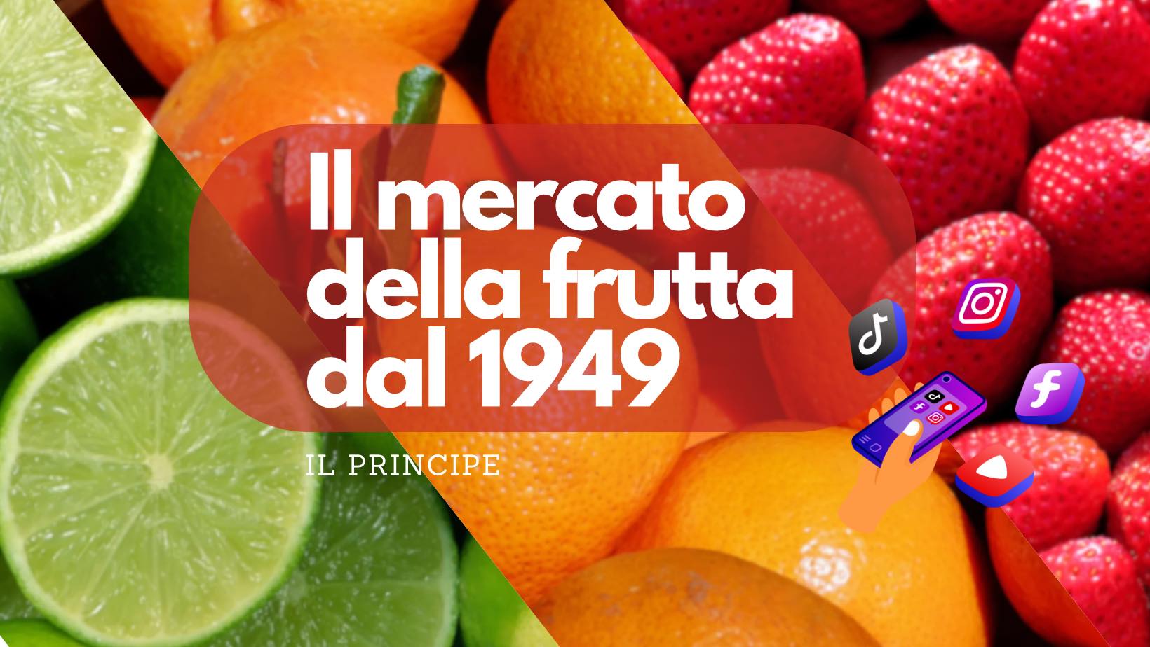 Servizio piatti porcellana decorata AFRIKA 18 pezzi - Piatti Excelsa - Piatti & Bicchieri Servizio piatti porcellana decorata AFRIKA 18 pezzi - Piatti Excelsa - Piatti & Bicchieri