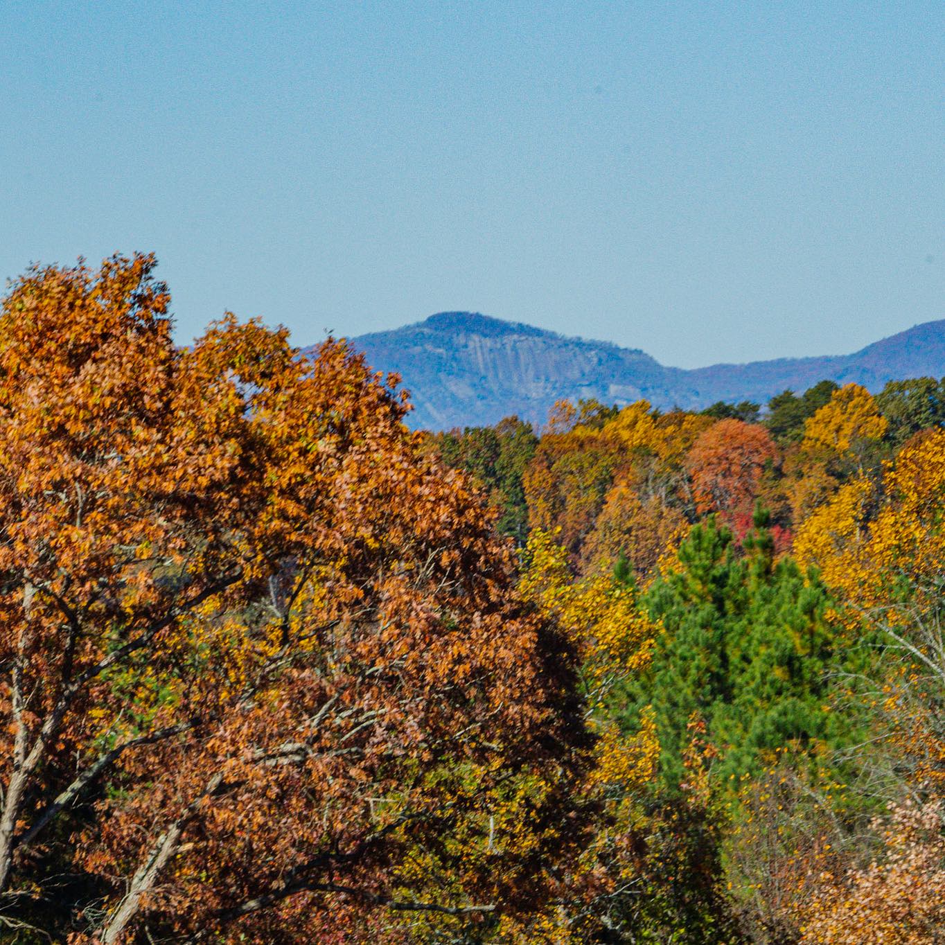 Longview - Discover the charm of living at Longview Carolina. With ...