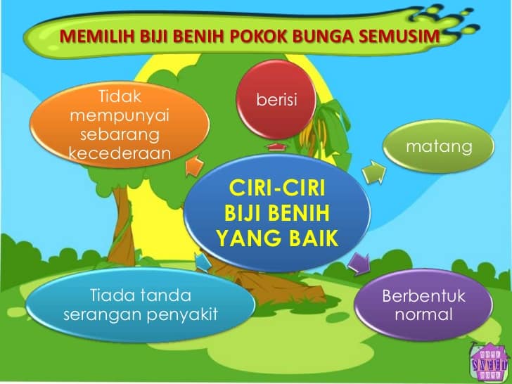 Kepentingan Pencaran Iltizam Cemerlang Tuition Centre Facebook