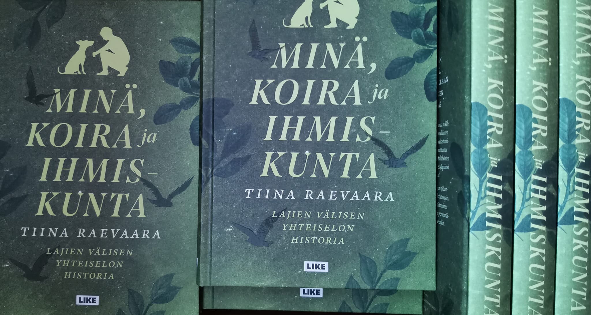 Kirjailija Tiina Raevaara
