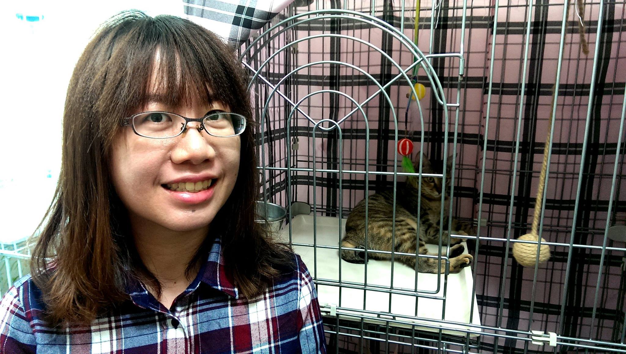 最近台灣選舉熱鬧滾滾，而流浪犬貓... - 180 Degrees Consulting Taiwan 180度學生顧問協會 | Facebook