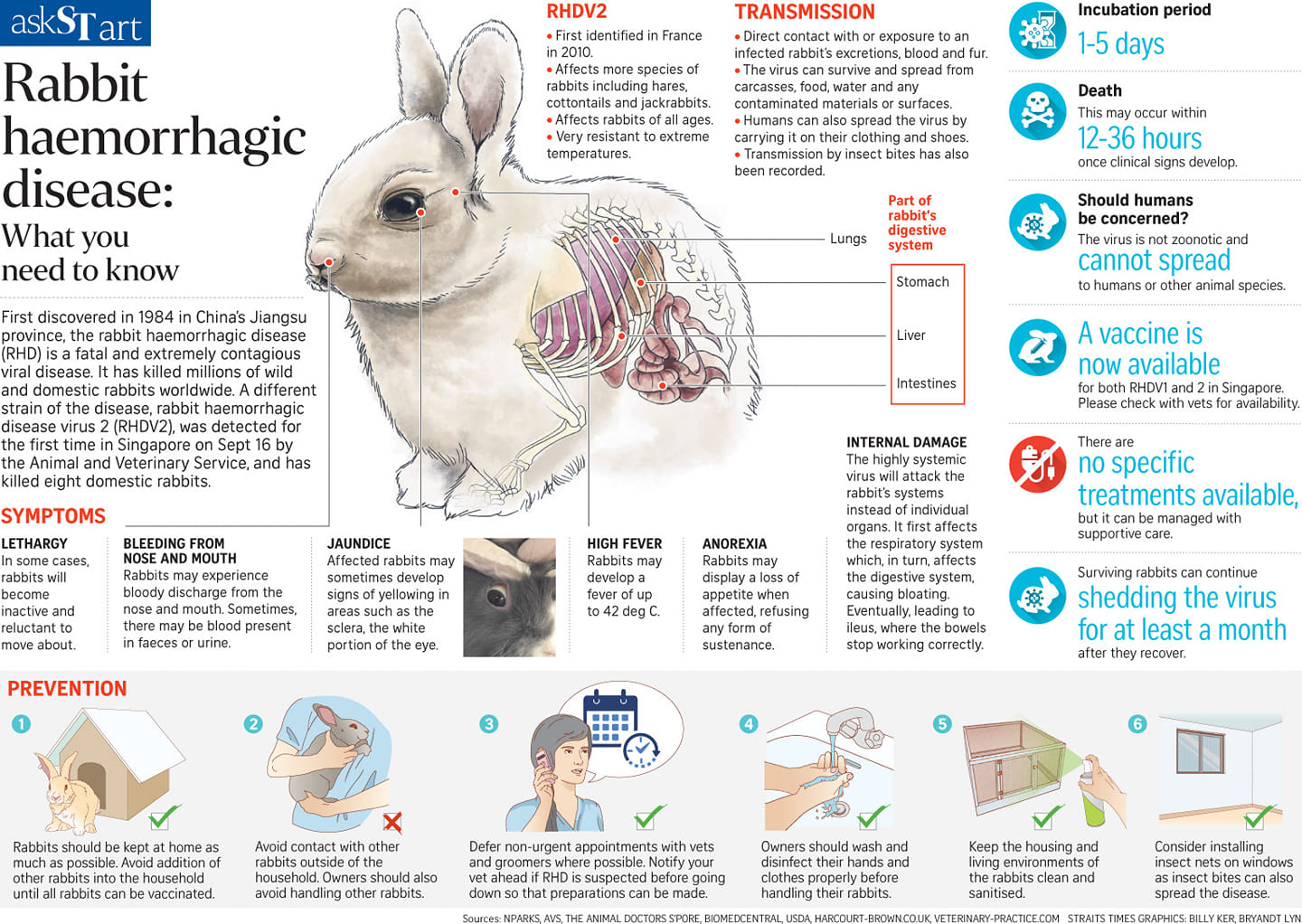Alien Pet - RHD [ rabbit haemorrhagic disease ]... | Facebook