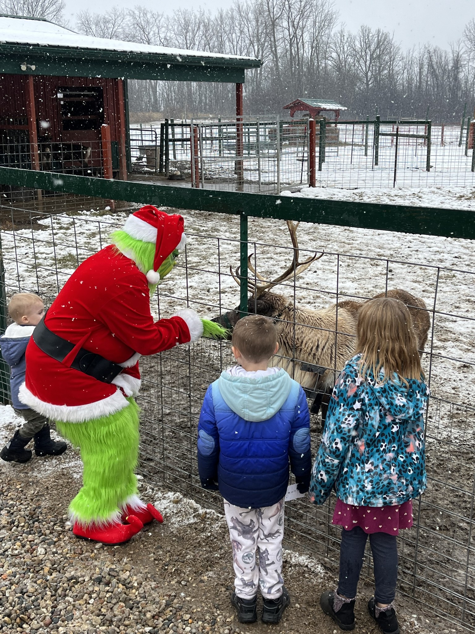 Per your request, the... - Rooftop Landing Reindeer Farm