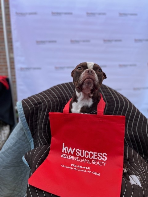 ⏰ Weekly REMINDER ⏰🐾🎅🏻📸🌲 𝐅𝐑𝐄𝐄 Pet Photos @ KW Success Dracut 2023 🌲📸🎅🏻🐾 ...