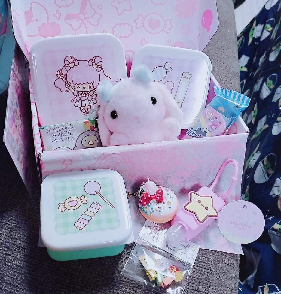 Japanese boxes were good to me today! 공품관입장과지 レシラム 230