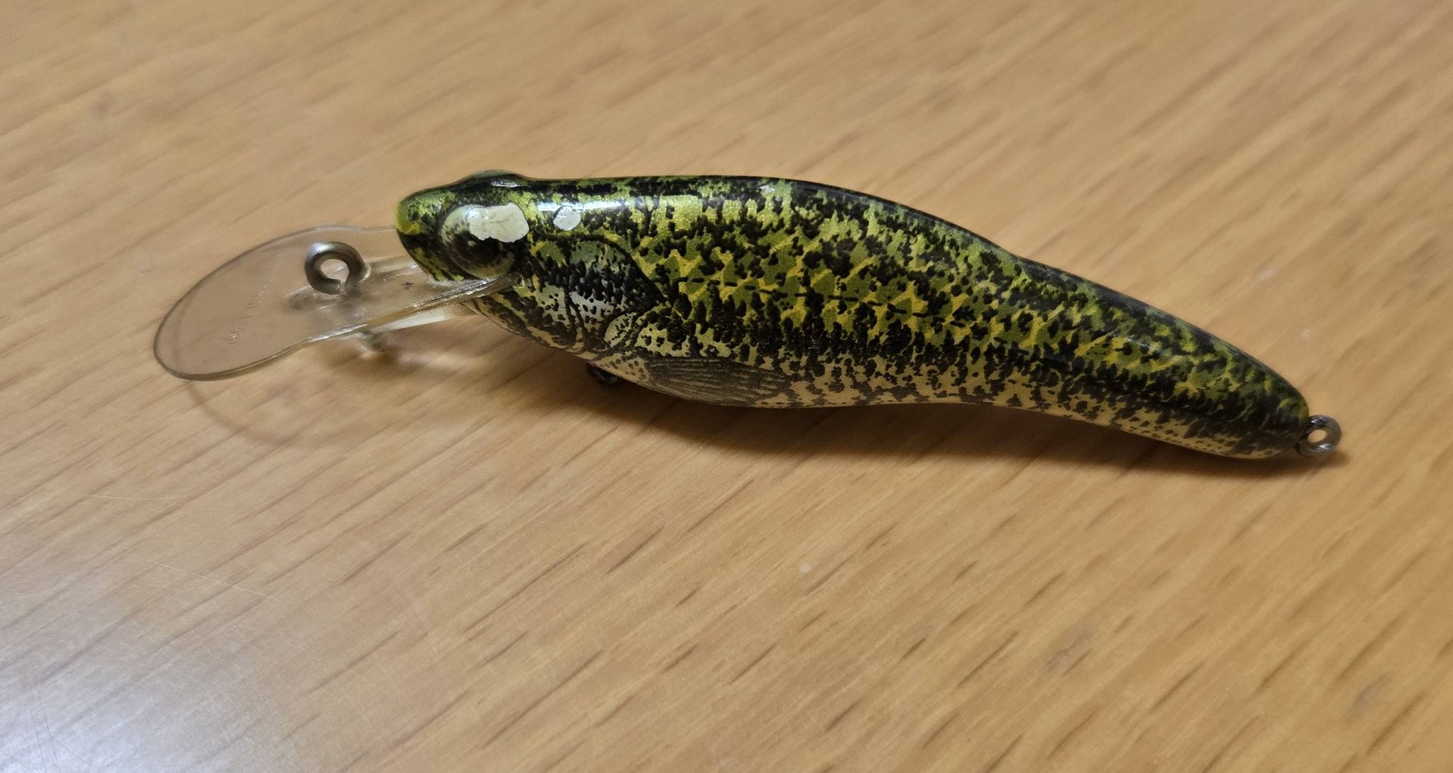 明けましておめでとう御座います