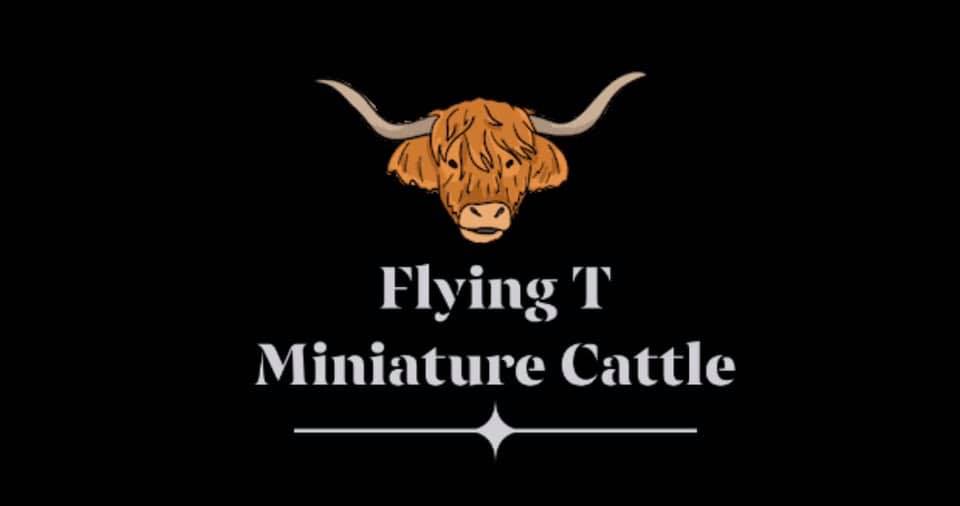 Flying T Miniature Cattle