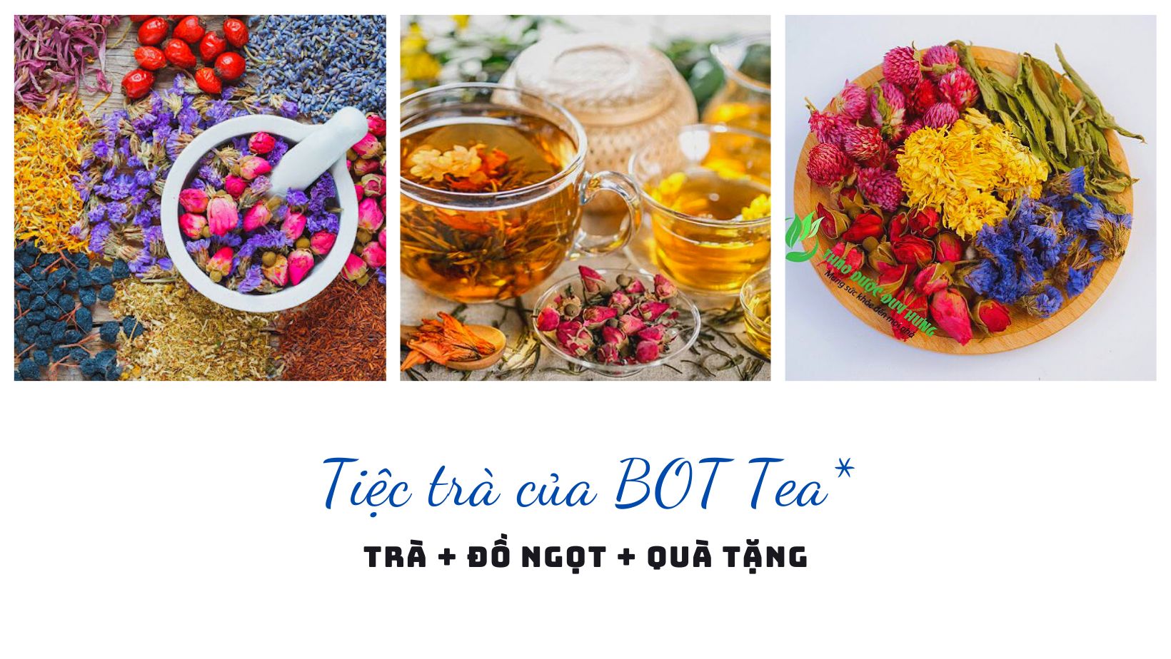 B.O.T -Tea | Hanoi